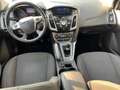 Ford Focus 5p 1.6 tdci Titanium 95cv*OK NEOPATENTATI* Nero - thumbnail 10