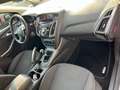Ford Focus 5p 1.6 tdci Titanium 95cv*OK NEOPATENTATI* Nero - thumbnail 15