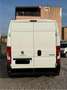 Fiat Ducato Peugeot Boxer 2.0 BlueHDi 130CV L3H2 Blanc - thumbnail 13