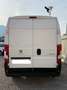 Fiat Ducato Peugeot Boxer 2.0 BlueHDi 130CV L3H2 Blanc - thumbnail 6