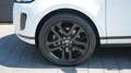 Land Rover Range Rover Evoque EVOQUE D240 AWD*21"DYNAMIC*AHK*PANORAMA* Weiß - thumbnail 18