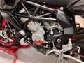 MV Agusta Rivale 800 AES - thumbnail 6