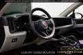 Porsche Cayenne Cayenne  MY26-Bose-Pano-BeifahrerDisplay-21"-AGA Schwarz - thumbnail 22