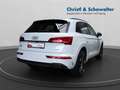 Audi Q5 45TFSI quattro AHK STADT+PARKEN MATRIX Weiß - thumbnail 6