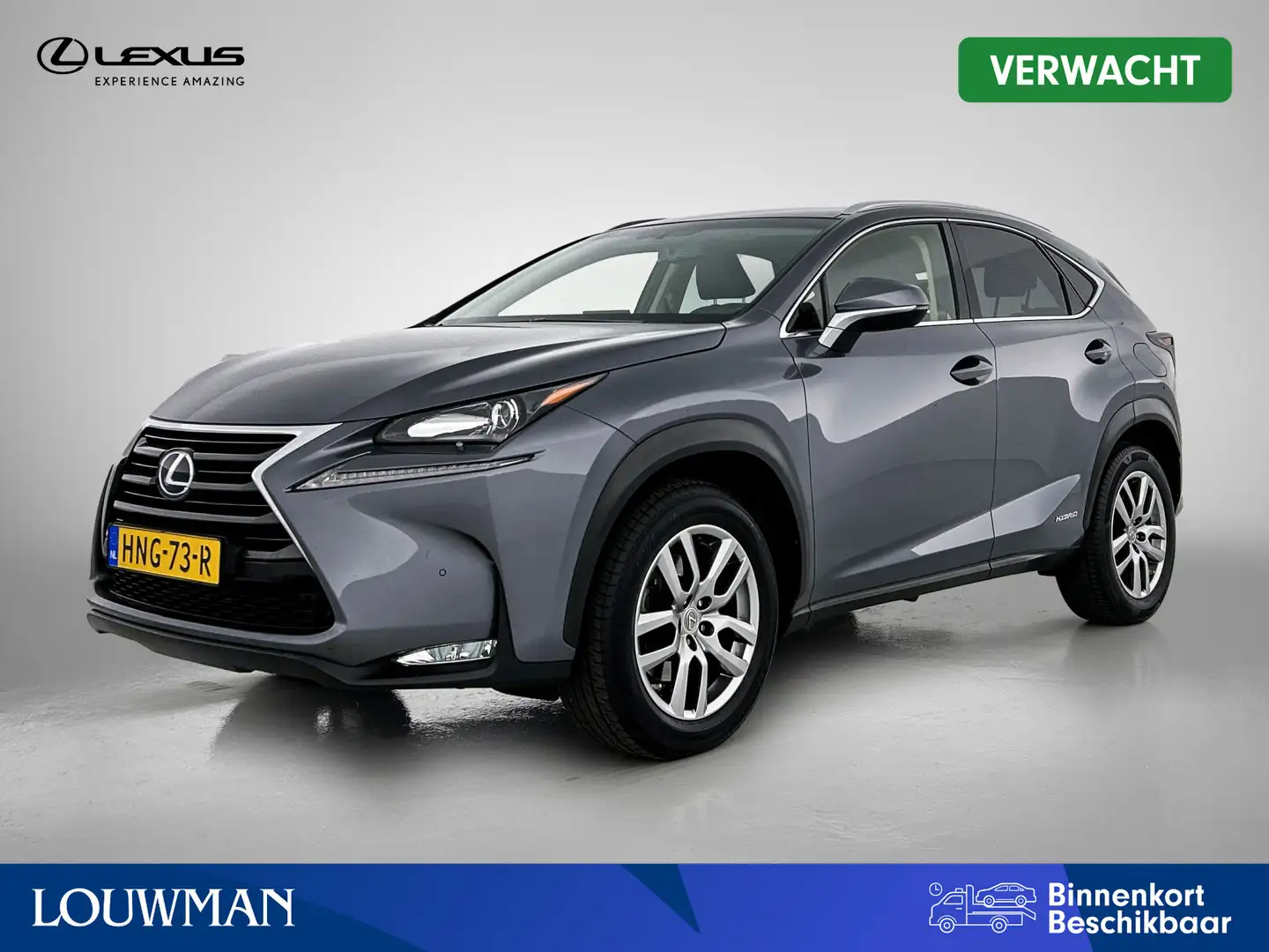 Lexus NX 300h AWD Luxury Line Limited | Navigatie | Leder | Stoe Grijs - 1
