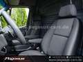 Mercedes-Benz Sprinter III 419 Kasten L2H2 lang+hoch  AHK Negru - thumbnail 2