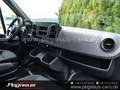 Mercedes-Benz Sprinter III 419 Kasten L2H2 lang+hoch  AHK Negro - thumbnail 30