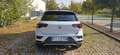 Volkswagen T-Roc 1.0 tsi Style 115cv Bianco - thumbnail 4