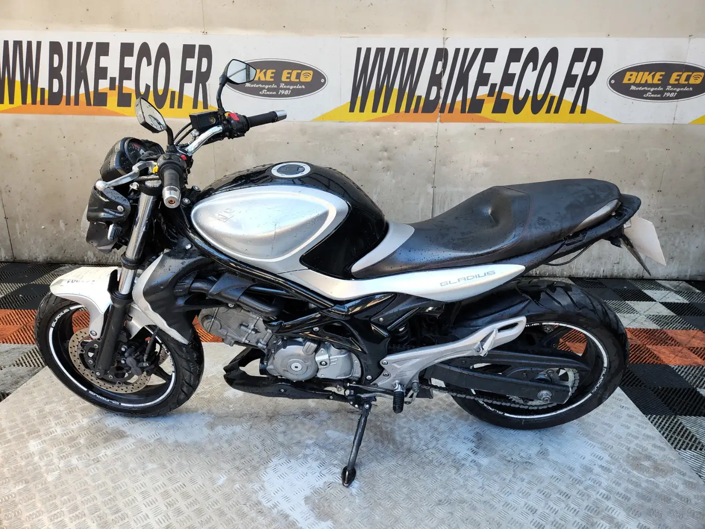Suzuki Gladius 650 Білий - 2