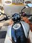 Suzuki Gladius 650 Білий - thumbnail 9