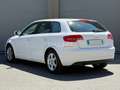 Audi A3 1.6 TDI 90 CV Blanc - thumbnail 3