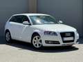 Audi A3 1.6 TDI 90 CV Blanc - thumbnail 1