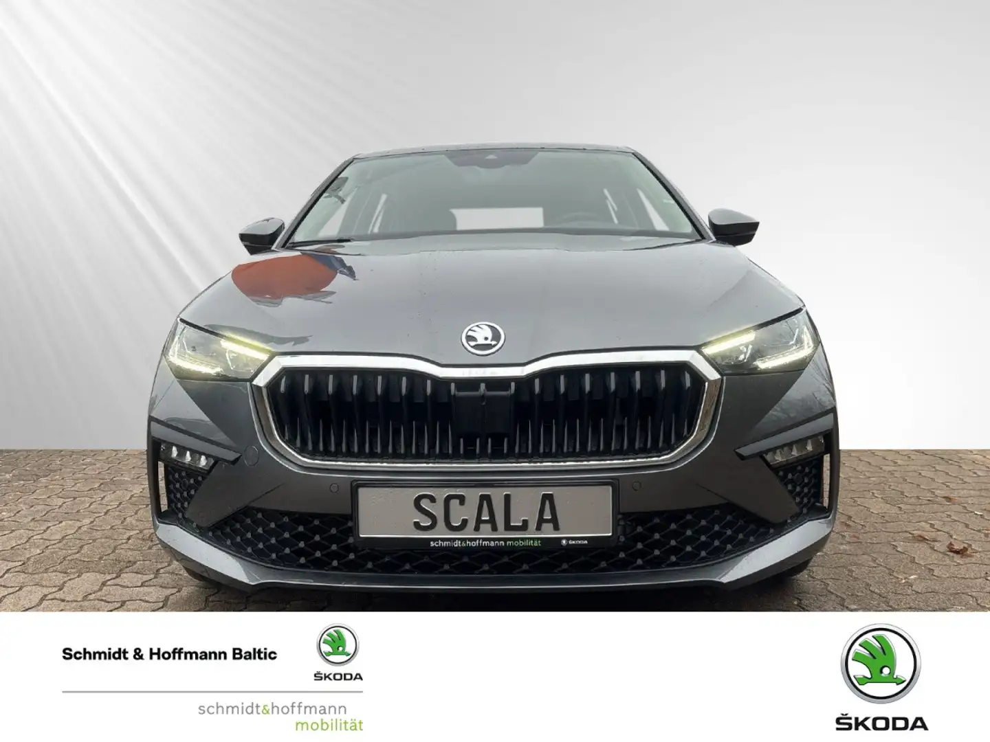 Skoda Scala Drive Klima Rückfahrkamera Sitzheizung Grau - 2
