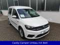 Volkswagen Caddy TSI Trendline Campingbett Navi Park-Assist Weiß - thumbnail 1