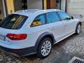 Audi A4 allroad 2.0 tdi Business 177cv s-tronic Bianco - thumbnail 3