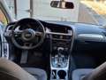 Audi A4 allroad 2.0 tdi Business 177cv s-tronic Bianco - thumbnail 5