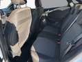 Ford Puma 1.0 EcoBoost Hybrid ST-LINE DESIGN Wit - thumbnail 8