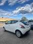 Lancia Ypsilon 1.2 69 CV 5 porte S&S Platinum Bianco - thumbnail 6
