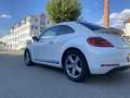 Volkswagen Beetle Sport - thumbnail 7