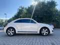 Volkswagen Beetle Sport - thumbnail 4