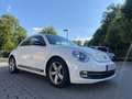 Volkswagen Beetle Sport - thumbnail 1