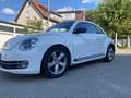 Volkswagen Beetle Sport - thumbnail 8
