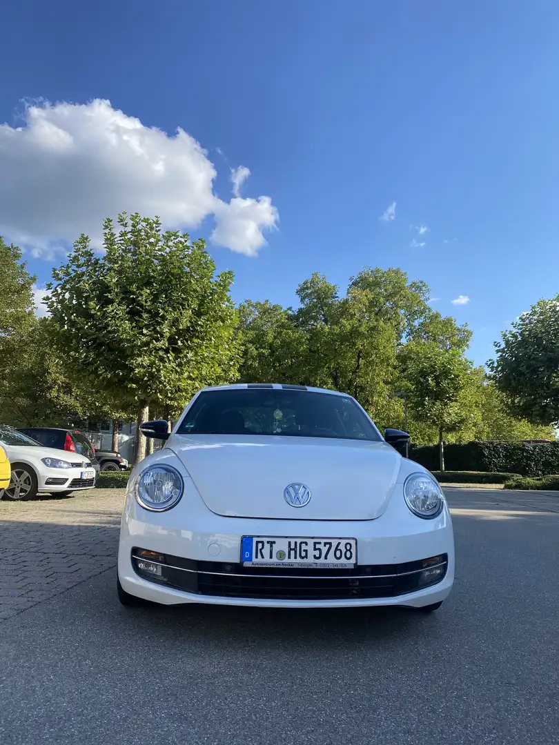 Volkswagen Beetle Sport - 2