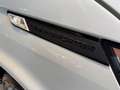 Volkswagen Sonstige Kasten PLUS Comfortline EcoProfi FWD Grau - thumbnail 27