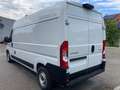Citroen Jumper 180 BlueHDI L3H2 Kühlkasten *Automatik* Weiß - thumbnail 4
