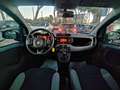 Fiat New Panda 1.0cc HYBRID CITYLIFE 70cv GSE Nero - thumbnail 8