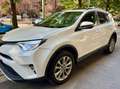 Toyota RAV 4 Rav4 IV 2016 Rav4 2.0 d-4d  2wd mt my17 Bianco - thumbnail 3