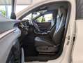 CUPRA Terramar 1.5eTSI HUD DCC Matrix Pano Sennh. 20" Weiß - thumbnail 12
