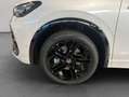 Volkswagen Tiguan R-Line 2,0 l TDI 4MOTION 193 PS 7-Gang-Dopp Blanc - thumbnail 24