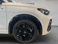 Volkswagen Tiguan R-Line 2,0 l TDI 4MOTION 193 PS 7-Gang-Dopp Blanc - thumbnail 25