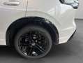 Volkswagen Tiguan R-Line 2,0 l TDI 4MOTION 193 PS 7-Gang-Dopp Blanc - thumbnail 26