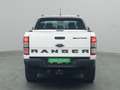 Ford Ranger DoKa Wilddtrak 213PS Aut. 4x4/AHK Blanc - thumbnail 7