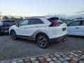 Mitsubishi Eclipse Cross 2.4 MIVEC BASIS Weiß - thumbnail 3