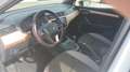 SEAT Ibiza 1.0 EcoTSI 115 Xcellence Blanc - thumbnail 8