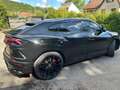 Lamborghini Urus Urus 4.0 V8 650 ch BVA8 Noir - thumbnail 10