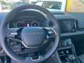 Skoda Karoq 4x4 Selection TDI DSG Silber - thumbnail 8