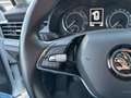 Skoda Kamiq 1.0 TSI 110cv Monte Carlo Bianco - thumbnail 8