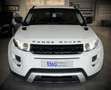 Land Rover Range Rover Evoque Evoque Coupé 2.2 TD4 2wd Blanc - thumbnail 2