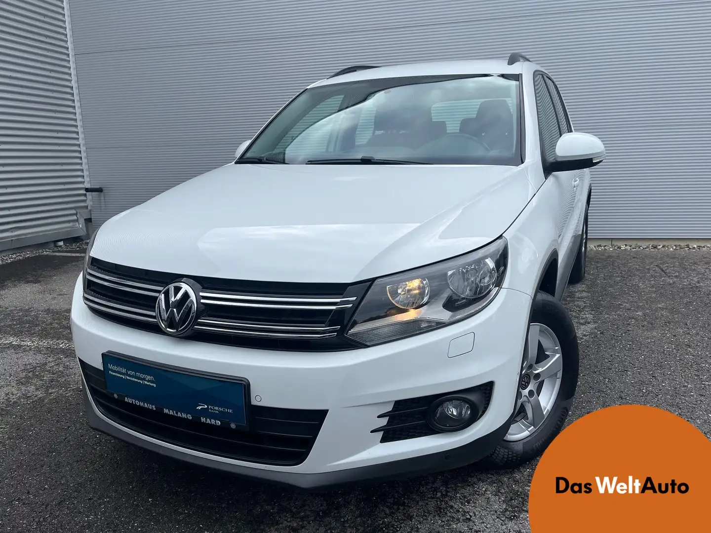 Volkswagen Tiguan Basis TDI BMT 4MOTION Blanc - 1