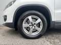 Volkswagen Tiguan Basis TDI BMT 4MOTION Blanc - thumbnail 9