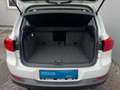 Volkswagen Tiguan Basis TDI BMT 4MOTION Blanc - thumbnail 8