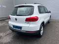 Volkswagen Tiguan Basis TDI BMT 4MOTION Blanc - thumbnail 3
