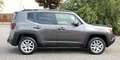 Jeep Renegade 2.0 MultiJet Trailhawk 4x4 Leder Navi Gris - thumbnail 4