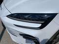 BYD Seal U DM-i Boost Neuwagen * AKTION * lagernd Weiß - thumbnail 15