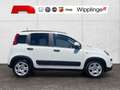 Fiat Panda 4x2 FireFly Hybrid 70 City Life Weiß - thumbnail 3