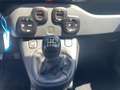 Fiat Panda 4x2 FireFly Hybrid 70 City Life Blanco - thumbnail 9